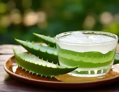 Aloe Vera Sur Mesure - Votre Sélection Personnalisée