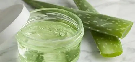 Aloe Vera Sur Mesure - Votre Sélection Personnalisée